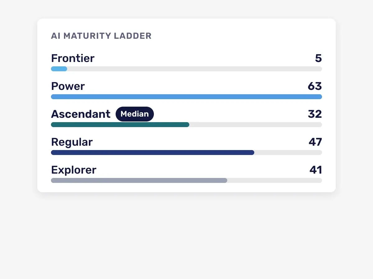 See-AI-maturity-ladder (2)